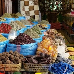 Meet your Posher, Lillane